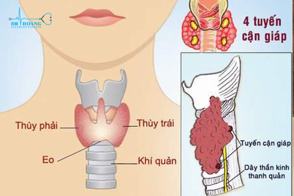 7. Các Biện Pháp Hỗ Trợ và Lối Sống Lành Mạnh