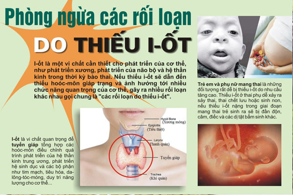 Phòng ngừa bệnh tuyến giáp nhờ chế độ dinh dưỡng