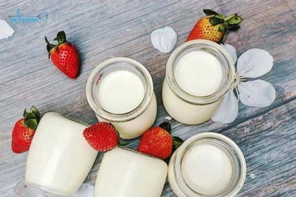 Sữa chua là thực phẩm cho tuyến giáp