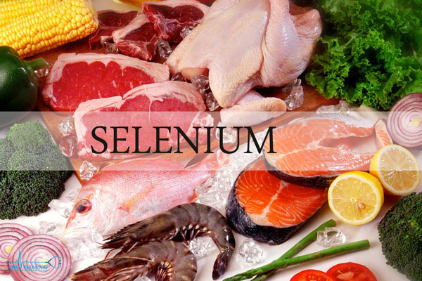 Thực phẩm hỗ trợ chức năng tuyến giáp